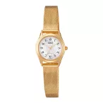   Q&Q női karóra, quartz, arany színű fémtok, gyöngyház színű számlap, arany színű fémcsat C50A-006PY